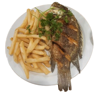 Tilapia/Fish